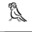 Parrot