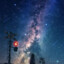 流仙座3等星