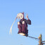 Avatar of sig