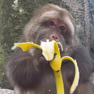 純真丁一郎です