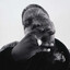 Gotti
