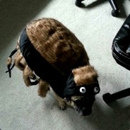 Commander Melander avatar