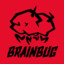 BrainBUG