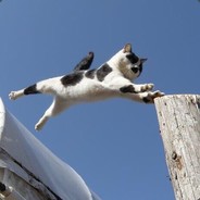 娄方子超睡不醒