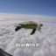 Flying Turtle