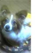 Jaum Yokoyama - steam id 76561197966367716