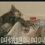 校长给爷爷我跳孔雀舞