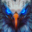 eagle_069