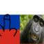 russians = monkey