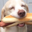 chon