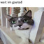 Billi