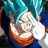 Vegito (SSGSS)