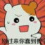 羽碎