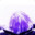 Steam avatar of Al'ba