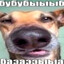 Avatar of player Собачья блевотня