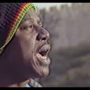 sαłαмαłєcσツ ψ 乂