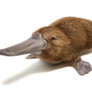 UtckaNose