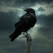 AngusCrow avatar