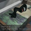 zxc_sasha_228