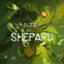 BloodyShepard
