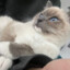 那方面贼猛