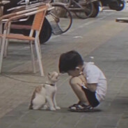 疯狂的鹿不停的蛇