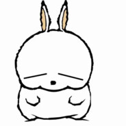 兔皮