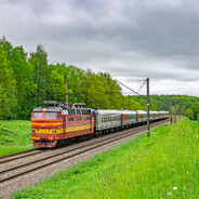 Der1