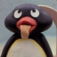 Pingu Meister