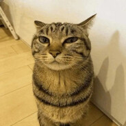 Плод Дегенерации