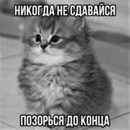 бомба лукашенко