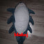 blaj