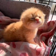 她的身上充满了孩子气