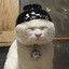 miso sorry