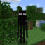 EndermanThe24th