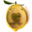 Lemon2514
