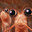 krillium f shrimpleton