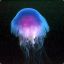 blind_jellyfish