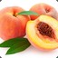 MoistPeaches
