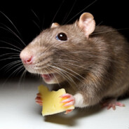 FOMM - steam id 76561199230296558