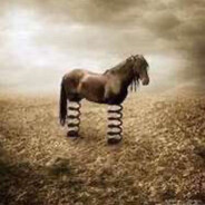 spring horse