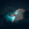 sadthongwater