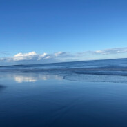 Eussay - steam id 76561198306857814