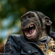 _ПеРеКуРеНнЫй_