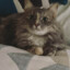 Fumi