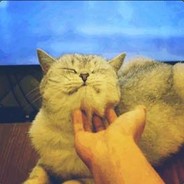 美女荷官在线发牌