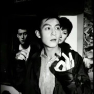 挪威森林的袋鼠