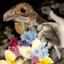 deadhesperus
