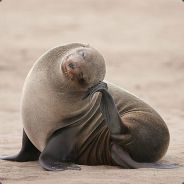 VERTiGO - steam id 76561197969086401