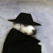 Perro